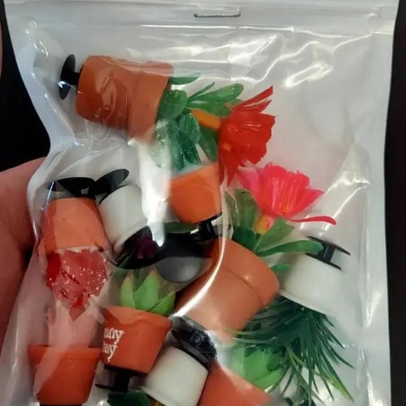 Succulent shoe charm garden houseplants mushroom cactus violet - Picture 8 of 12